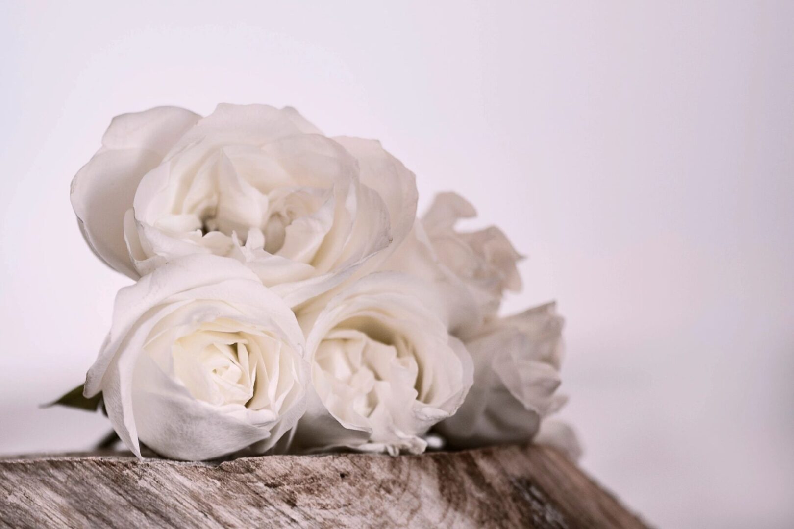 A bouquet of white roses on a rustic wooden surface.