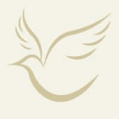 Stylized dove outline on beige background.