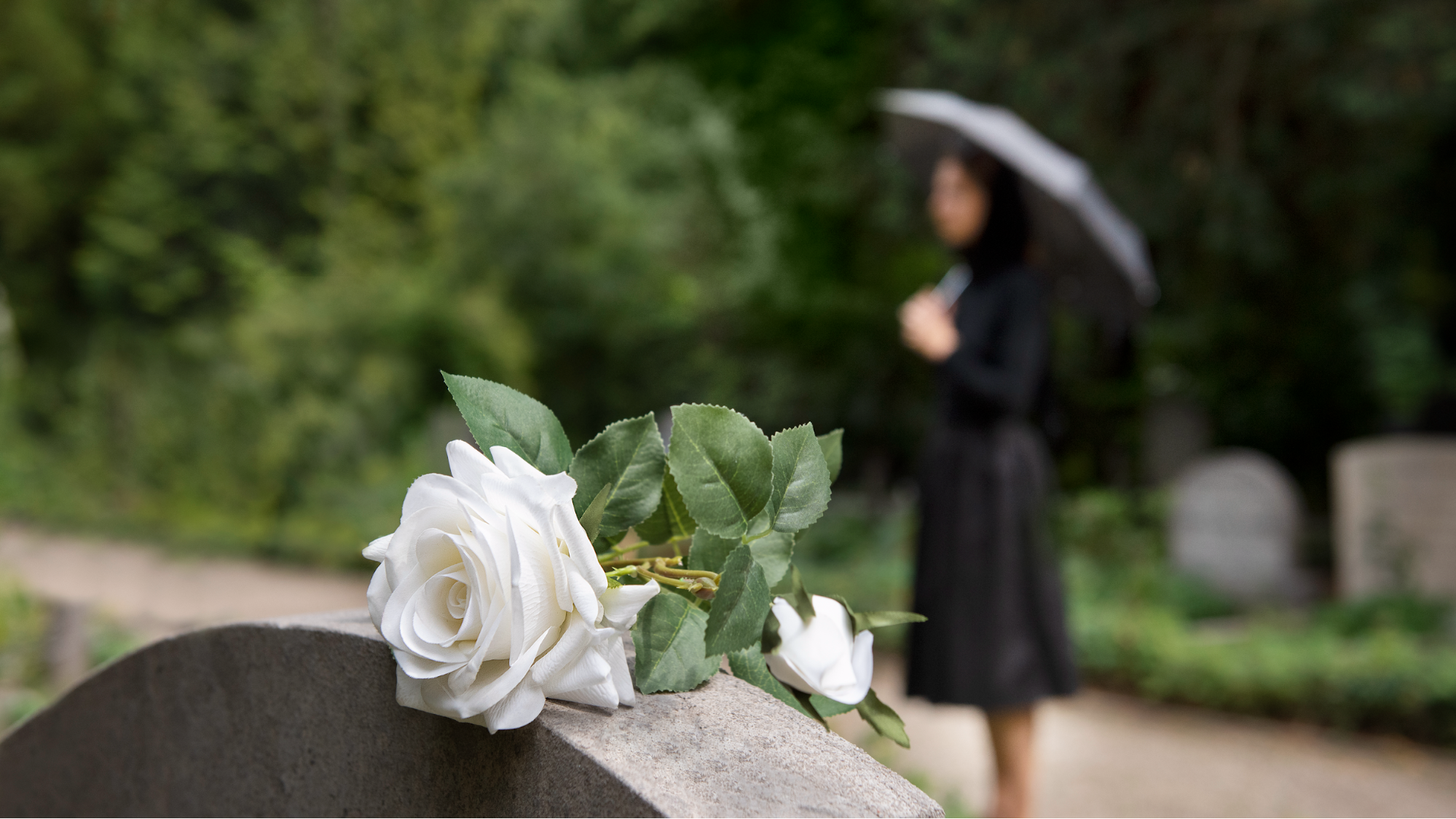 White roses on gravestone, woman with umbrella.