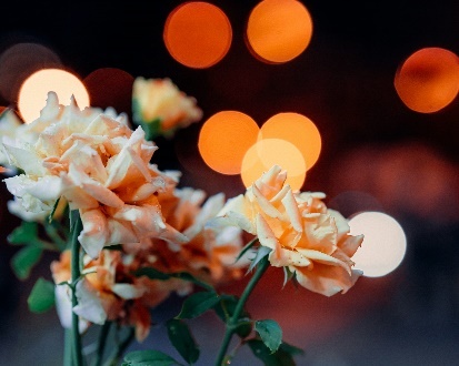 Yellow roses with blurred circular lights.