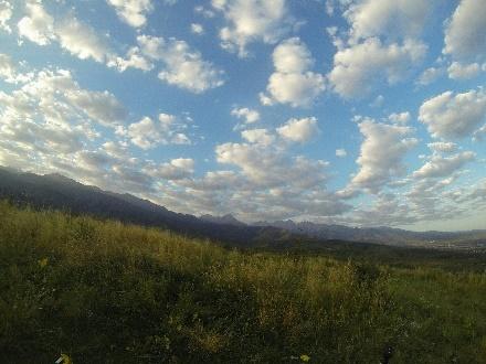 Grassy hillside with mountains under cloudy sky