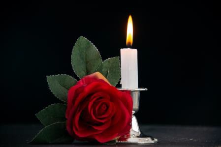 Red rose beside lit candle