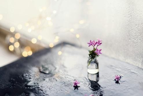 Pink flowers in glass bottle on wet tabletop