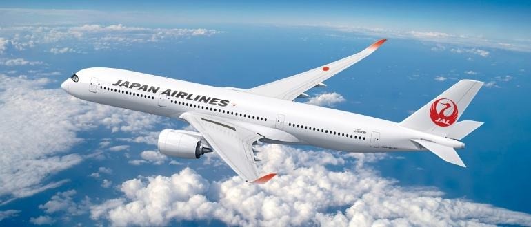 Japan Airlines jet cruising above cloud layer